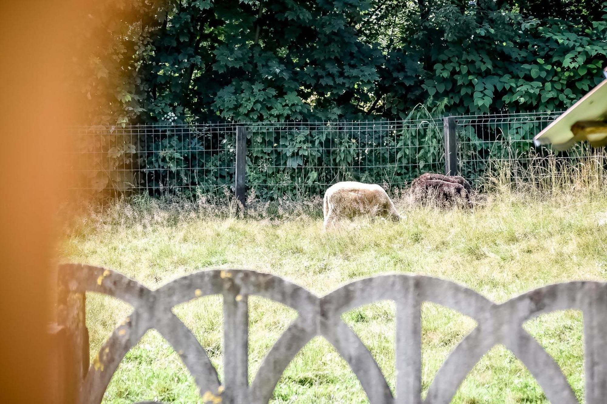 Domek Pod Brzyzkiem Bialka Tatrzanska Eksteriør billede